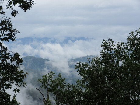 Jungle trip Thailand