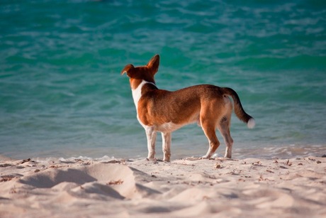 Looking out over sea