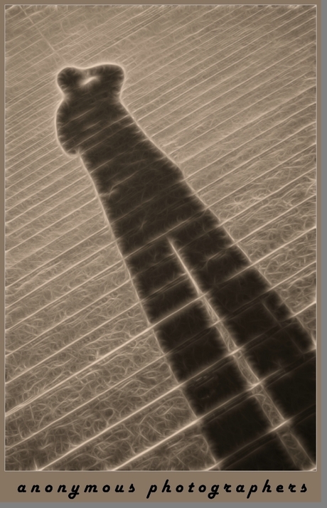 anonymous photographers