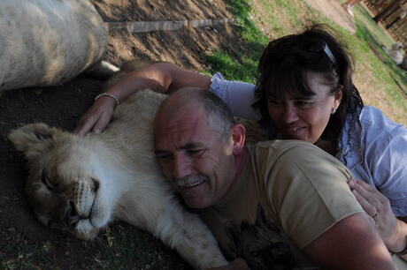 een knuffel