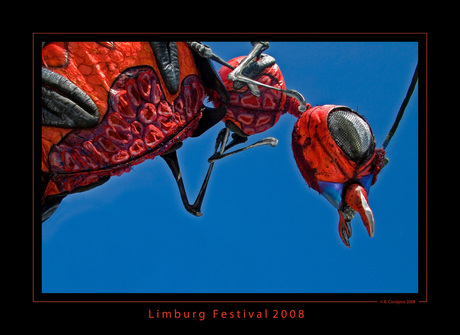 Limburg festival 2