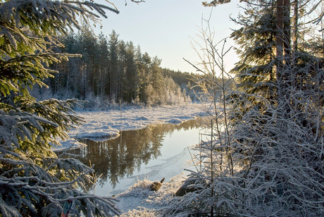 Winter in Zweden