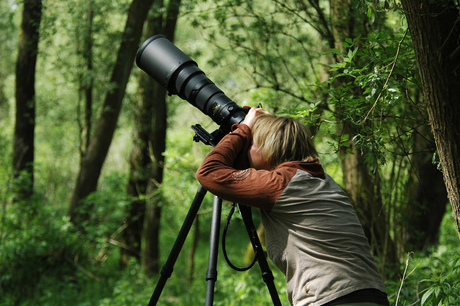 natuurfotograaf in actie