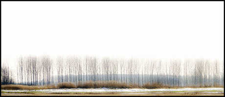 grijs en sneeuw................................