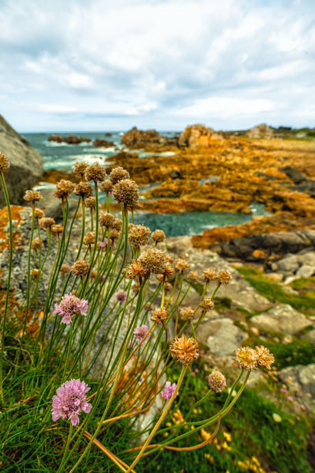 Plougrescant, Bretagne.