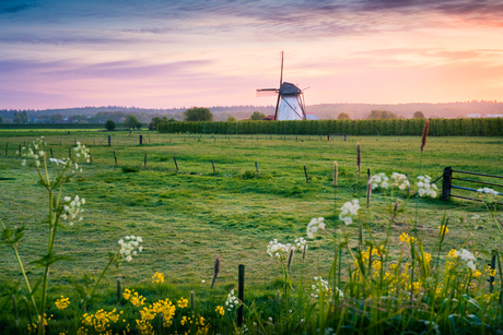 Kleurrijke start van de dag