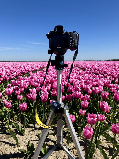 Nikon Z in actie: Focus Stacking.
