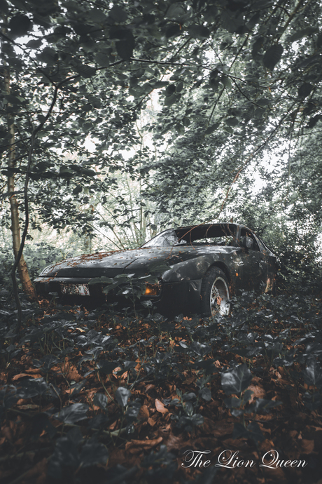 Lost in the Wilderness: The Forgotten Porsche in the Forest