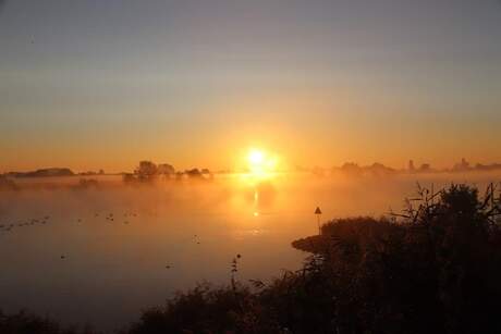 Zonsopkomst aan de Maas