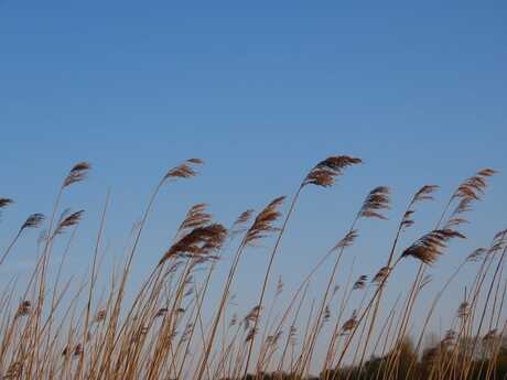 Gewoon omdat het kan