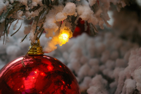 Lampje met kerstbal in kerstboom