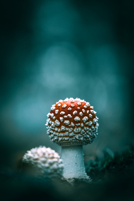 Wacht maar als we later groter zijn