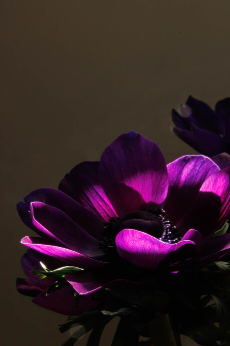 Summermacro