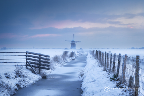 Gevangen in het wit...