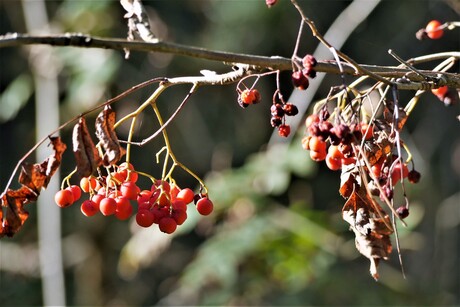 het einde van de zomer