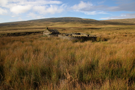 Herfst in de Yorkshire Dales