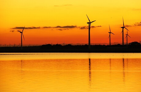 Polder sunset