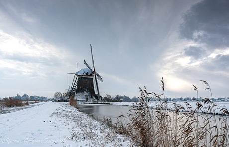 Hollandse winters