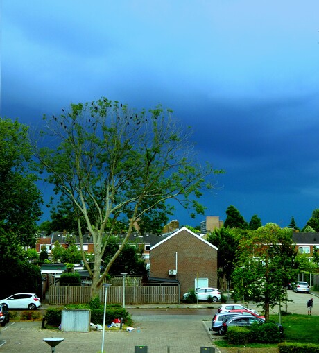 Donder wolken.