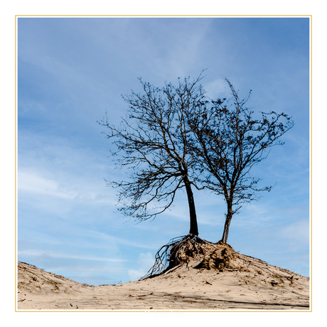 Waterleiding Duinen