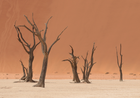 Namibië dead valley 1