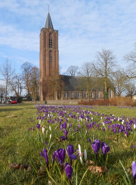 Grote kerk in Soest