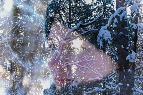 Double Exposure 