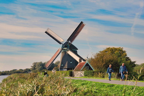Twiskemolen
