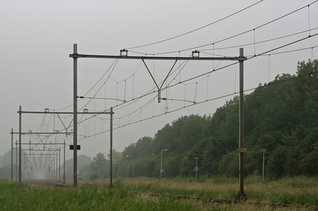 Sporen in de mist