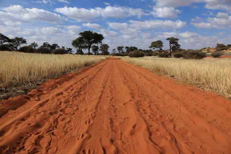 Kalahari