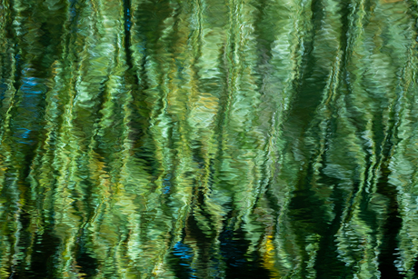 Herfst, tijd voor reflectie