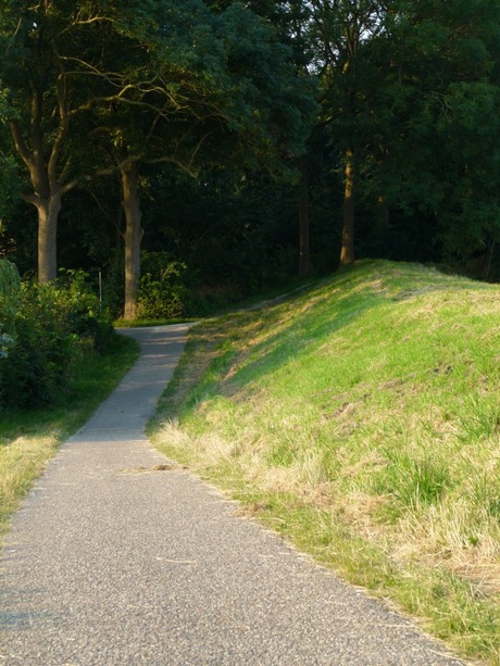 Schaduw opzoeken in het bos