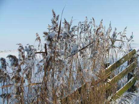 Winterlandschap