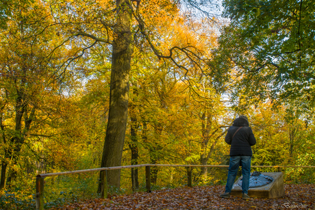 Herfstkleuren