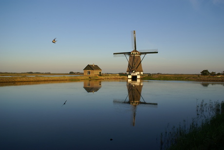 molen op texel