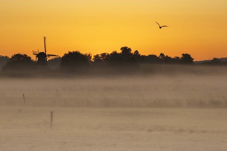 Mistige zonsopkomst bij de molen