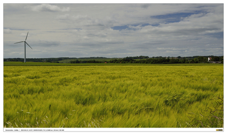 Geel & Groen I