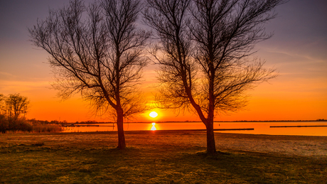 Sun between trees