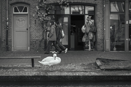 No one sticks to you