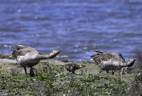 Zo ja! Doe ons maar na.