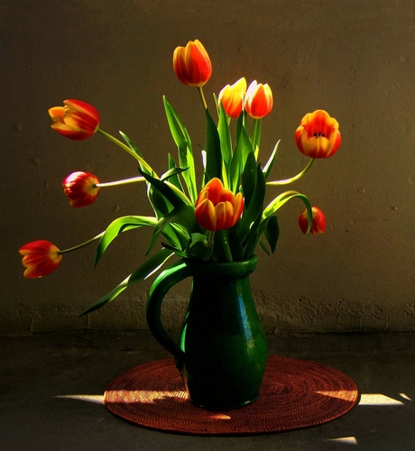 Tulipes.