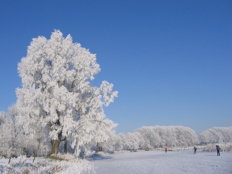winter in Nederland