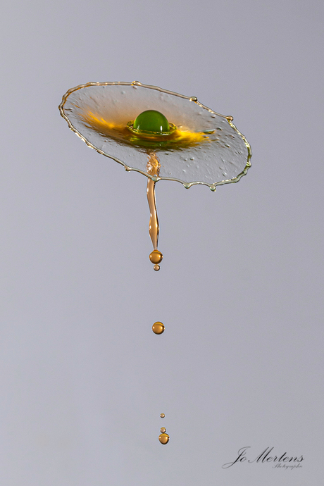 druppelfoto (bloem van water)
