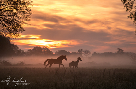 zonsopkomst