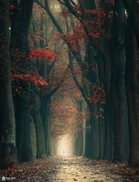 Red corridor