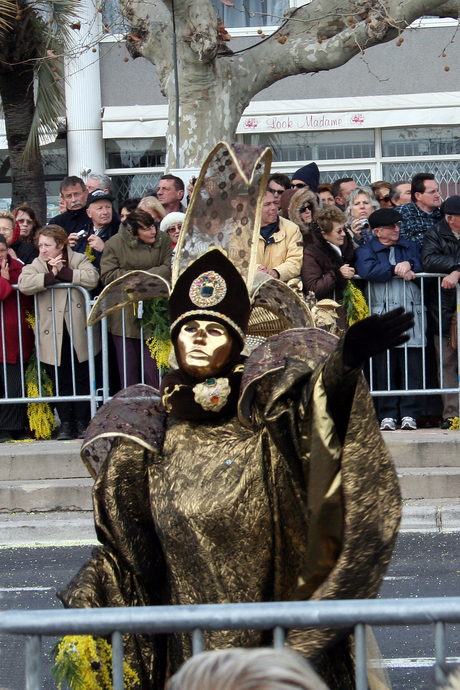 FETE DE MIMOSA