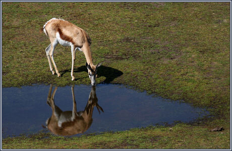 spiegeltje .... spiegeltje 2