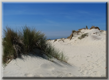 Terschelling