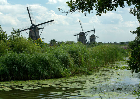 Kinderdijk_S0A0340.jpg