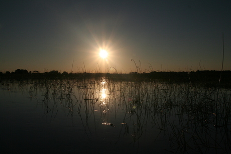 Sundown at Okavvango